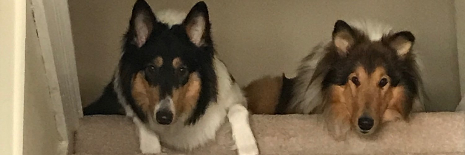 pulpitillo161's profile banner image