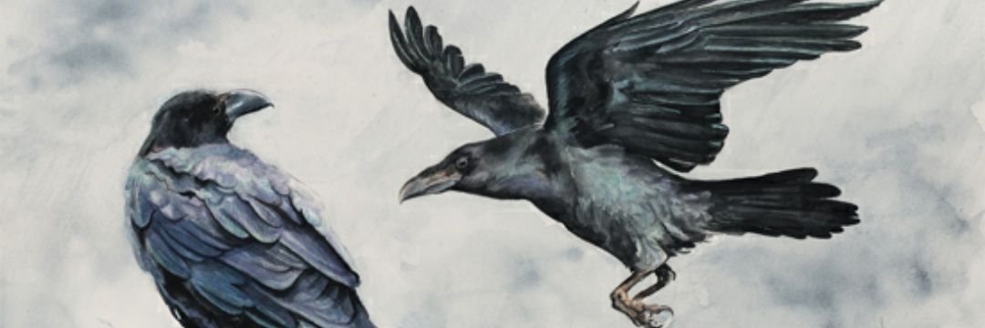 napalmvanity's profile banner image