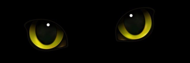 Leia_Lucky's profile banner image