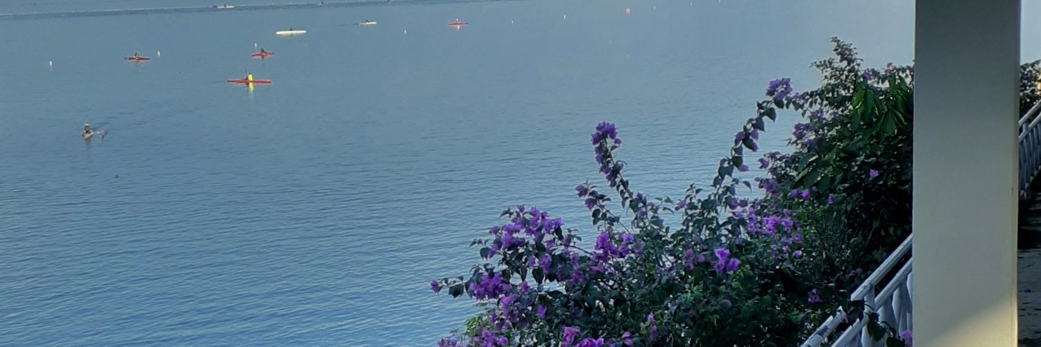 𝓭 𝓮 𝓮 banner