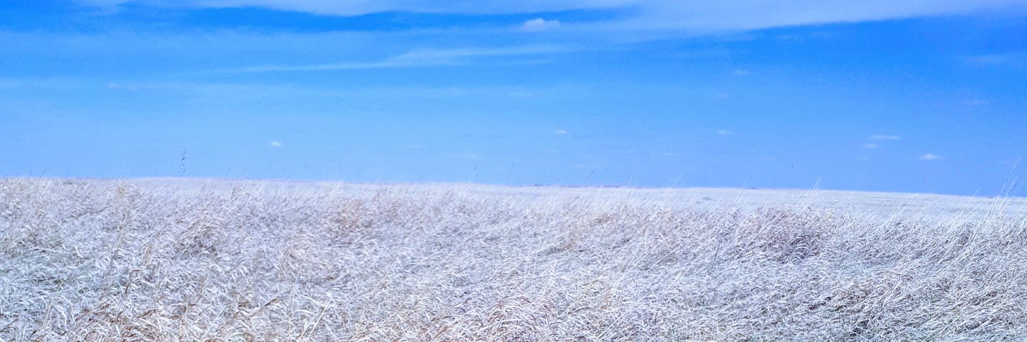 BritneyAndersen's profile banner image