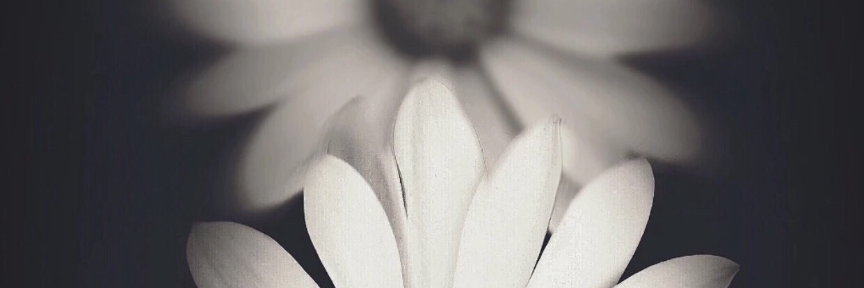 elacristt's profile banner image