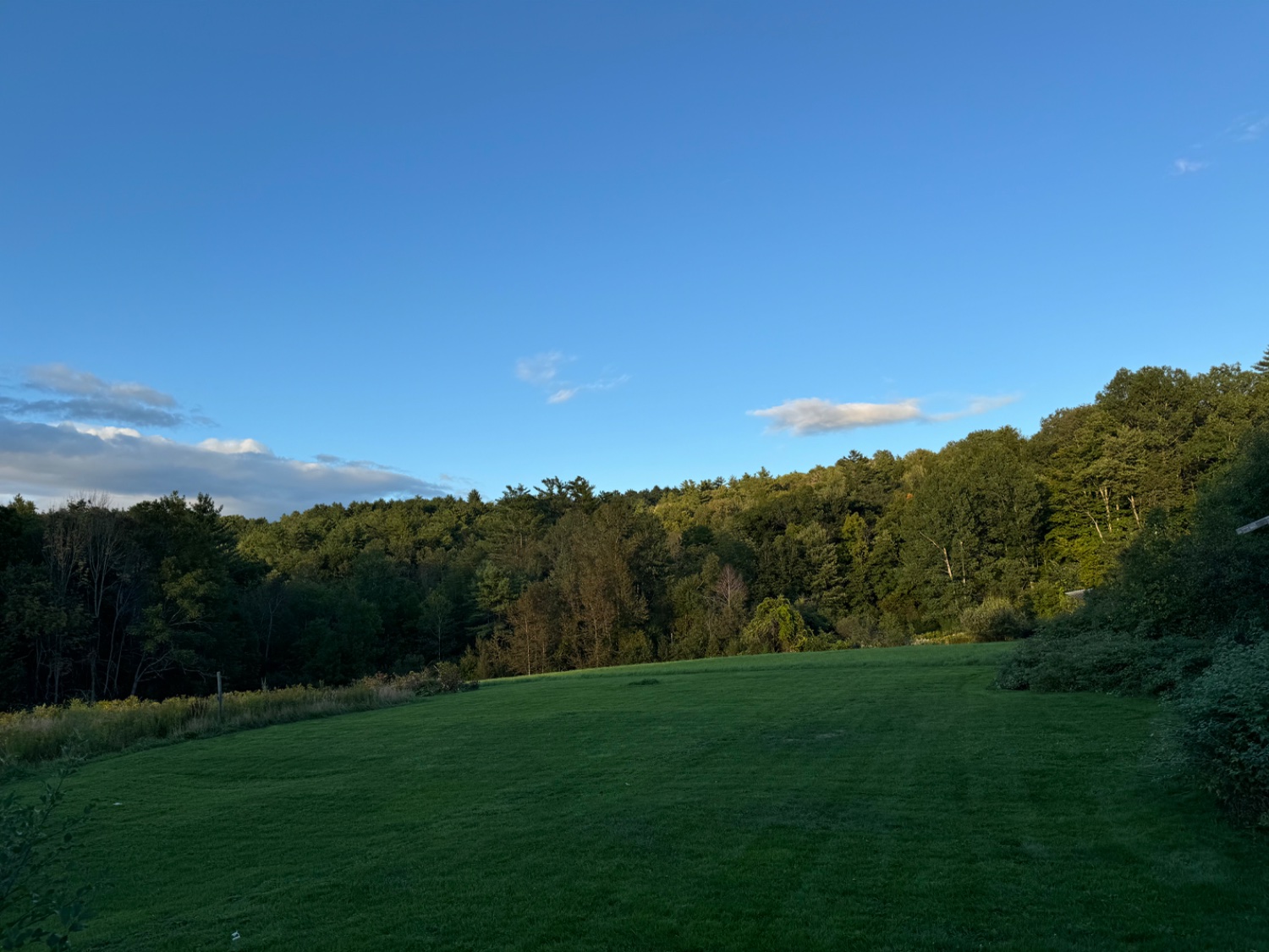 Matthew J. Maughan, PharmD, MHCDS, CPEL banner
