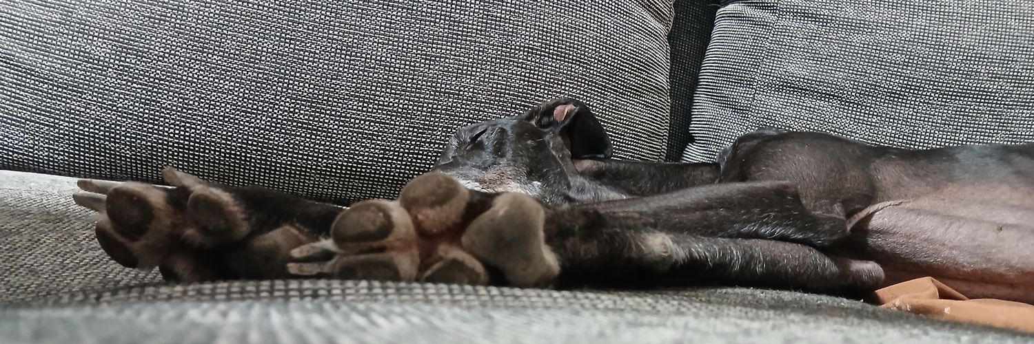 AurigaSolar's profile banner image