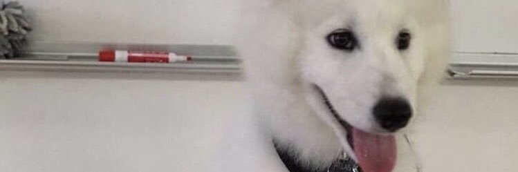 shadowtal05's profile banner image