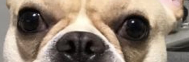mlmguerra's profile banner image
