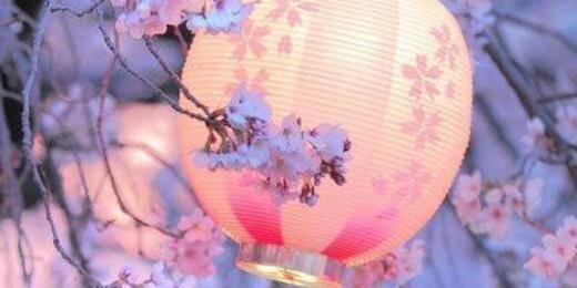 SiSch123's profile banner image