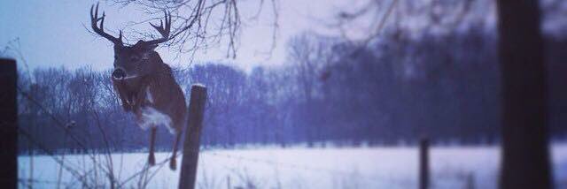 echamb's profile banner image