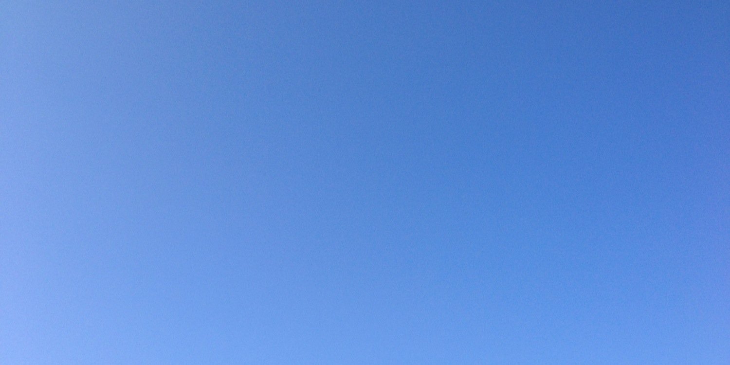 tantenizza's profile banner image