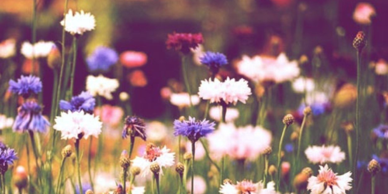 KmakeyaWink's profile banner image