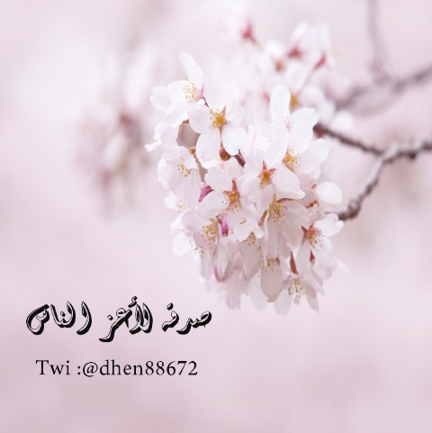 dhen88672's profile banner image