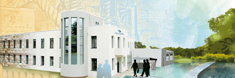 CALYDIAL | Centre de santé rénale banner