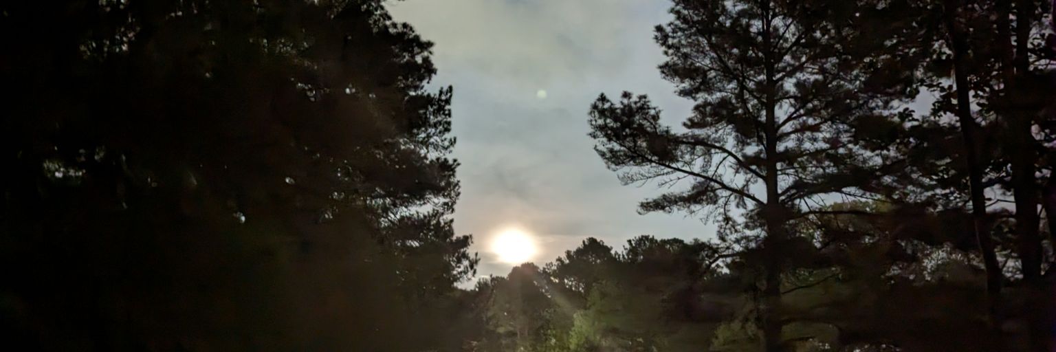 CayeMarsh's profile banner image