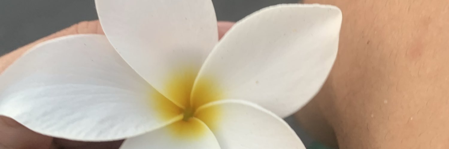 _karollyne__'s profile banner image