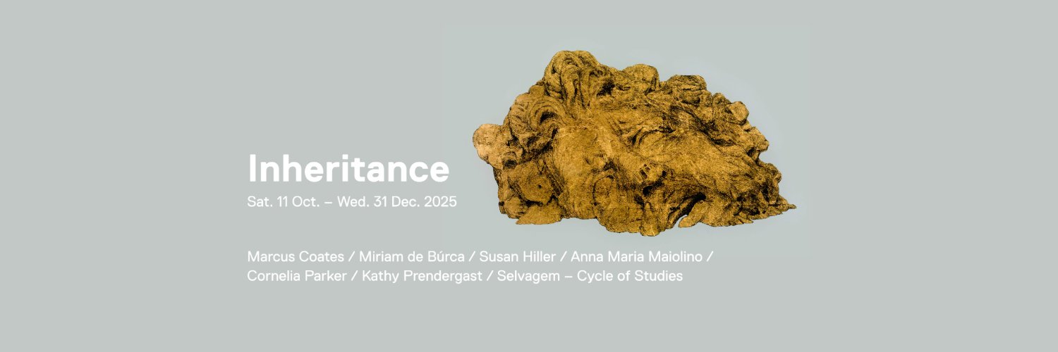 The Model Sligo banner