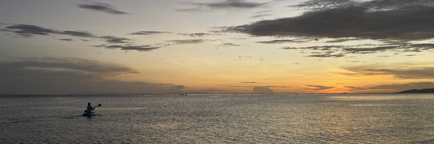 ladadidandan's profile banner image