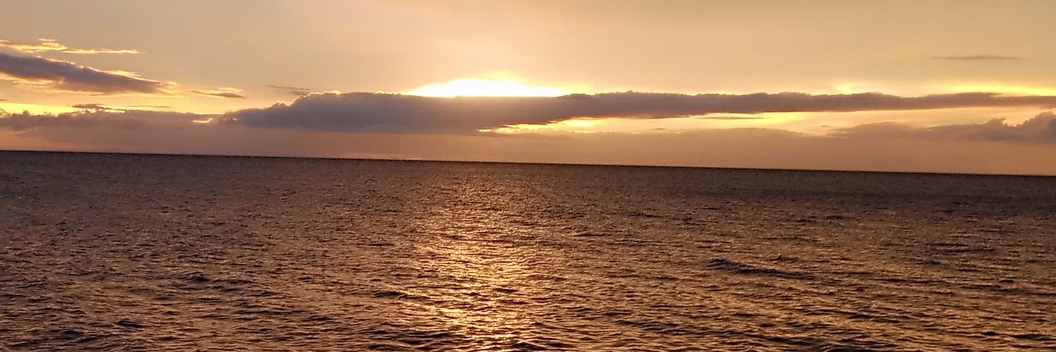 ysraeldma's profile banner image