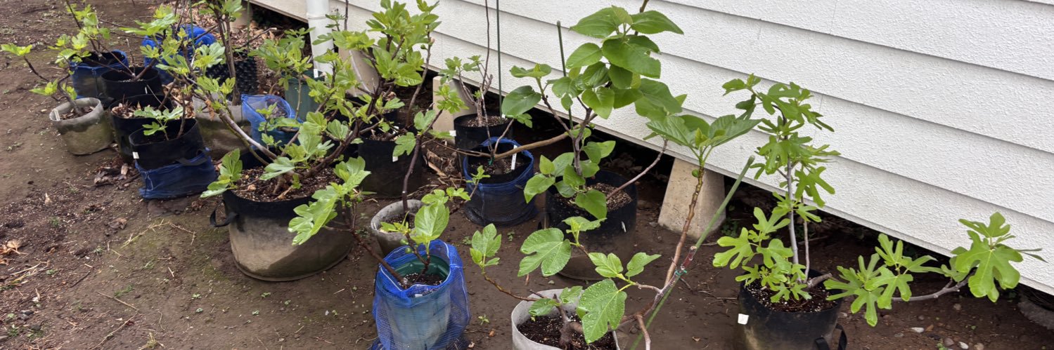 ライト 8番 banner