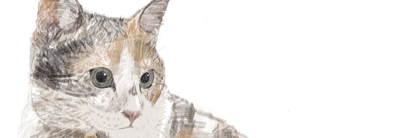 Agechan25's profile banner image