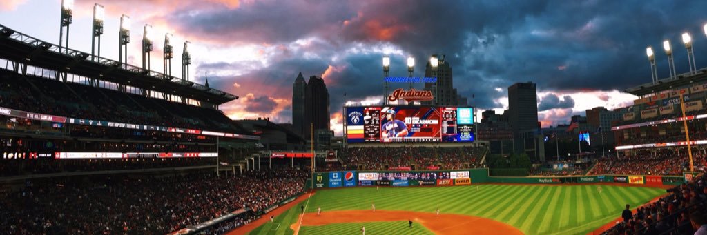 sarahwillmann's profile banner image