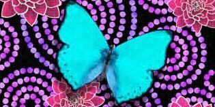 ✽       ℓisbεth banner