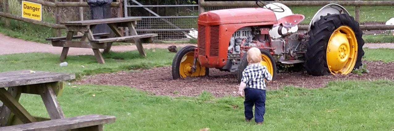 Steff Harries banner