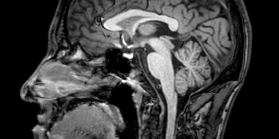 DrGallagherM's profile banner image