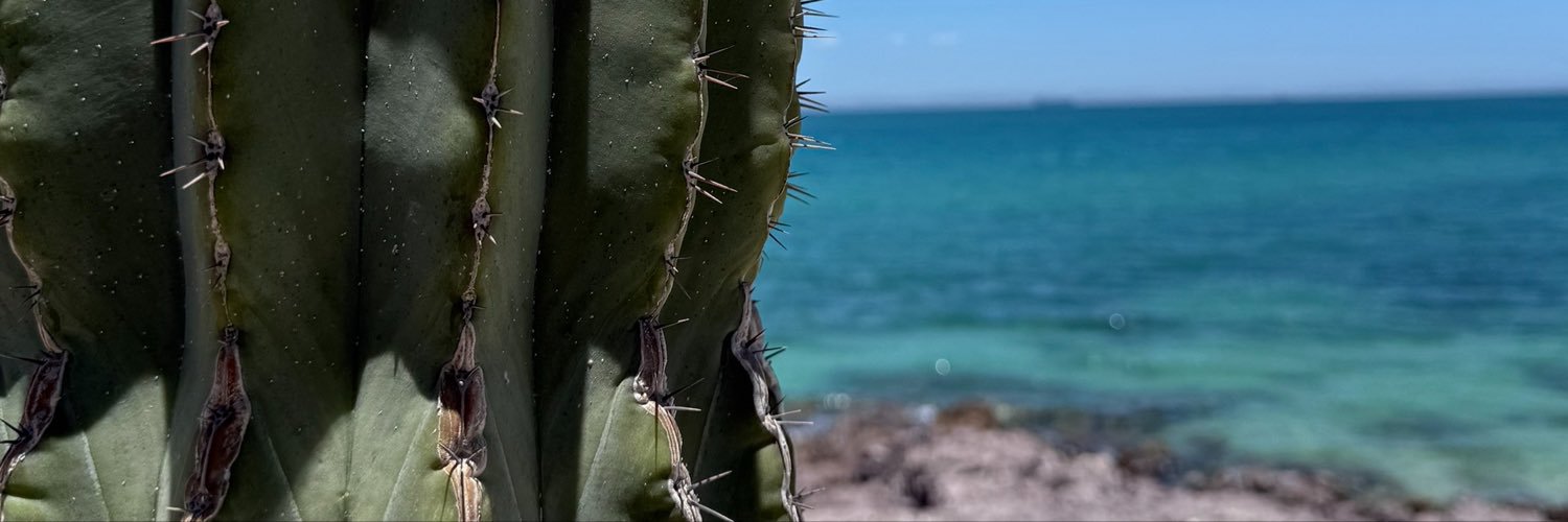 soypaustix's profile banner image
