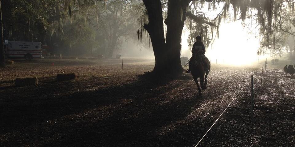 RedHillsHorseTrials banner
