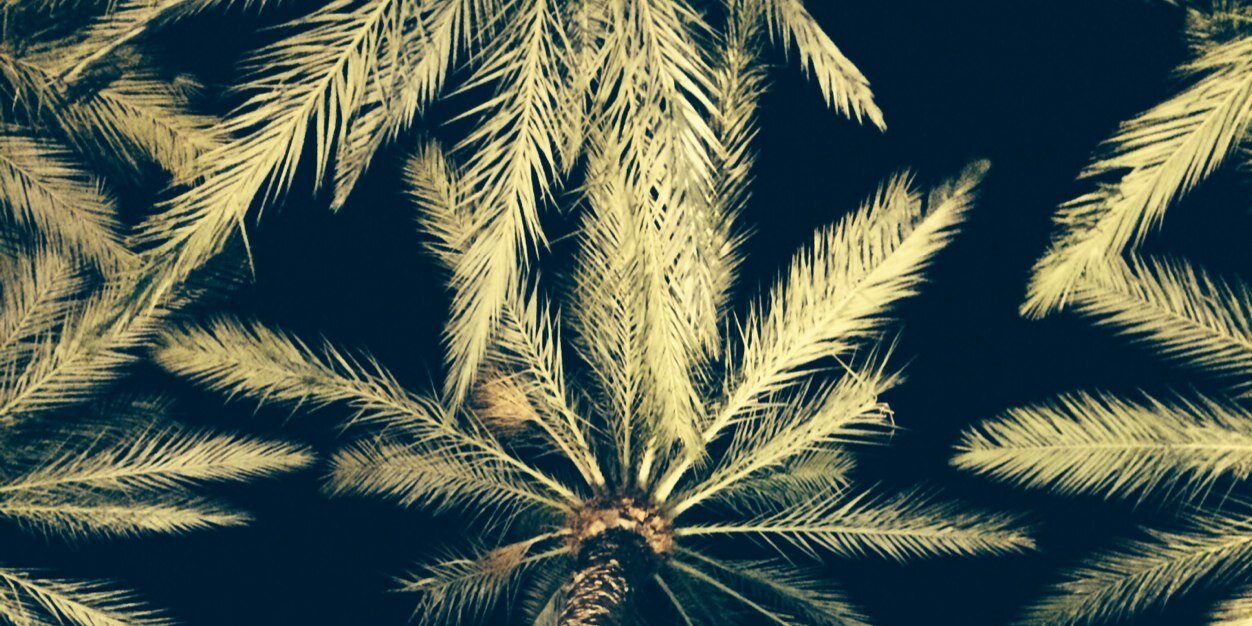 pablomfpicasso's profile banner image