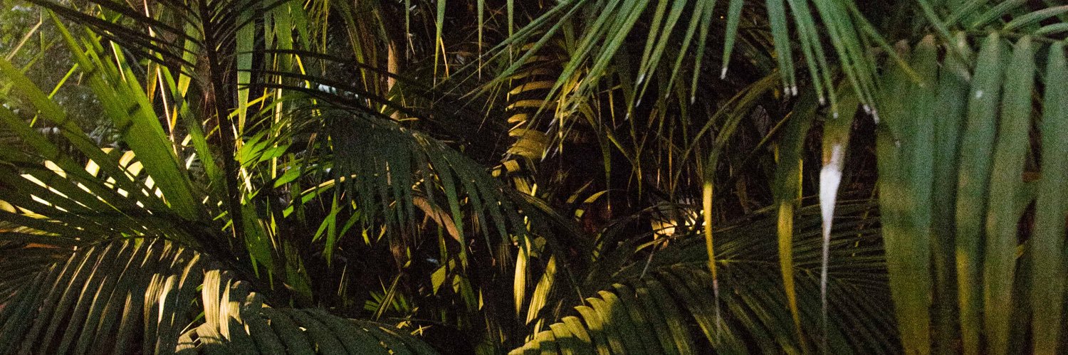 StevensonOpoku's profile banner image