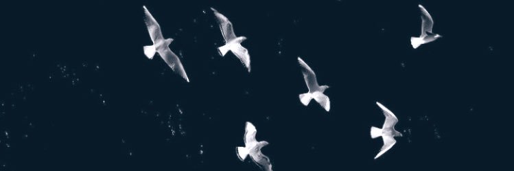 YAZIR07's profile banner image