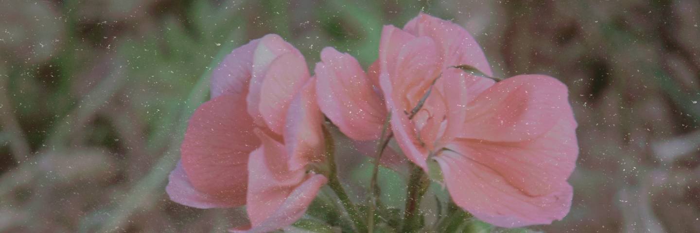 mentholee_'s profile banner image
