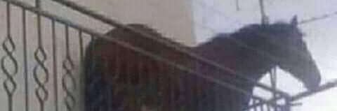 ★SD-J★ • ★Von★ banner