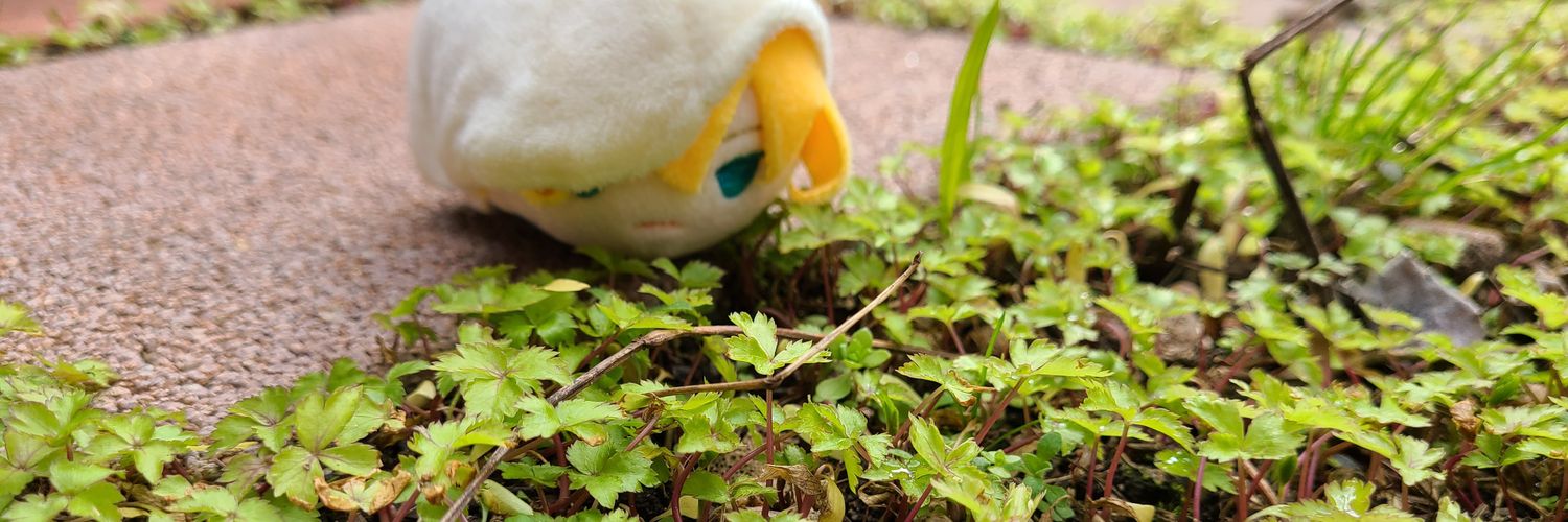 header image