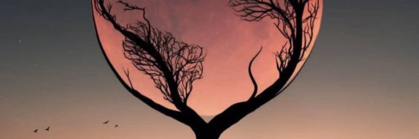 Dejalpha23's profile banner image