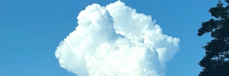 kidzoo99's profile banner image