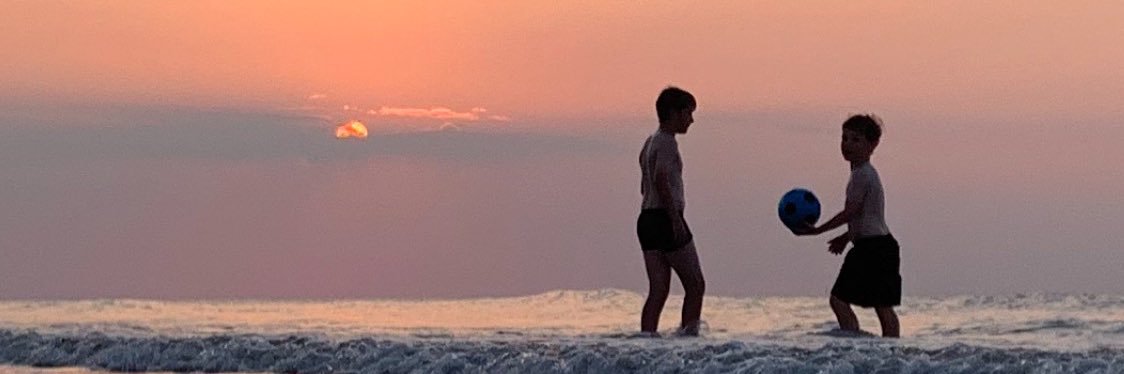 Suzanne Cherrie banner