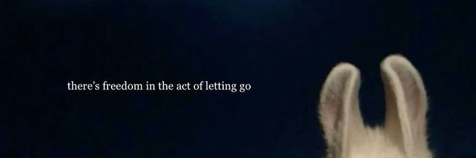 cuddlexe's profile banner image