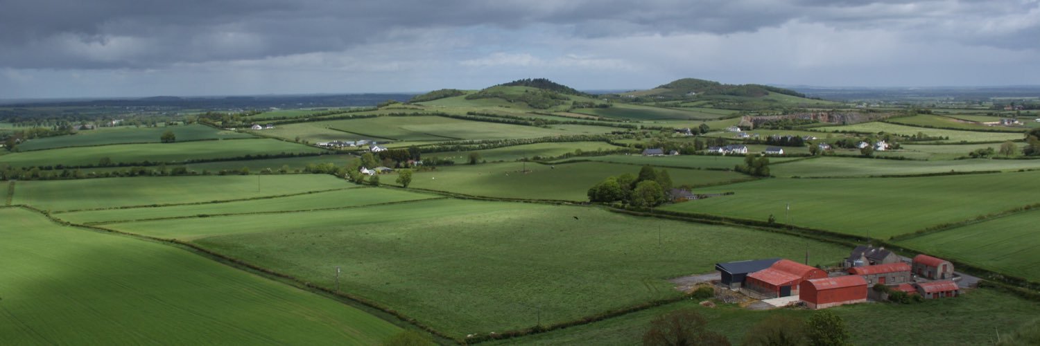 Images by Leanne banner