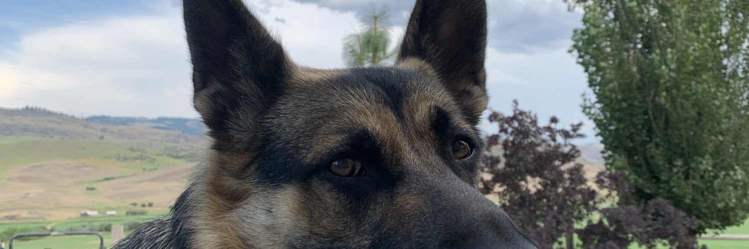 emileeannb's profile banner image