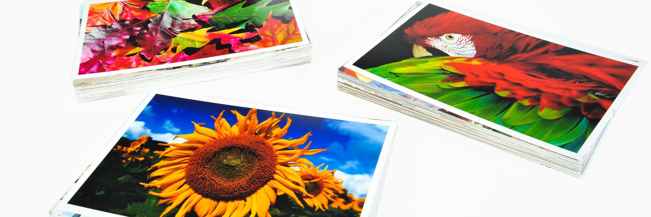 BTPhotographic's profile banner image