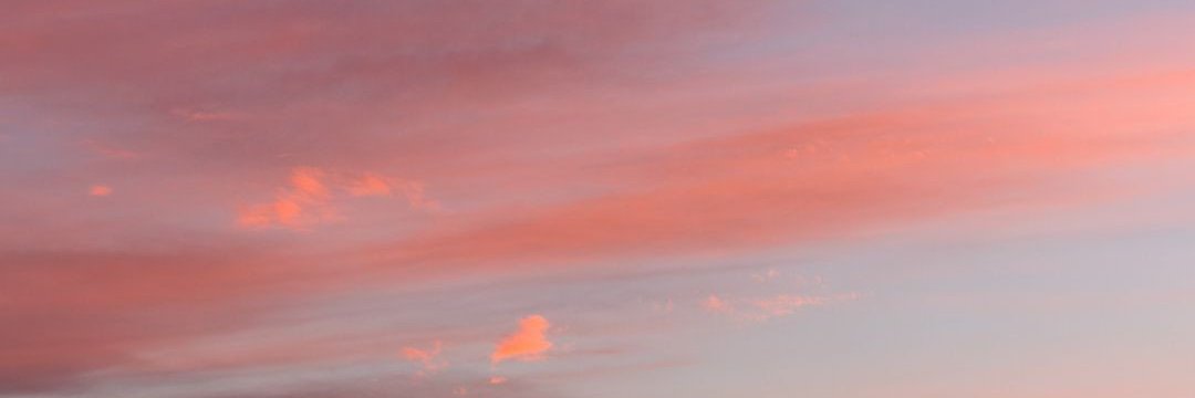 guadavera_'s profile banner image