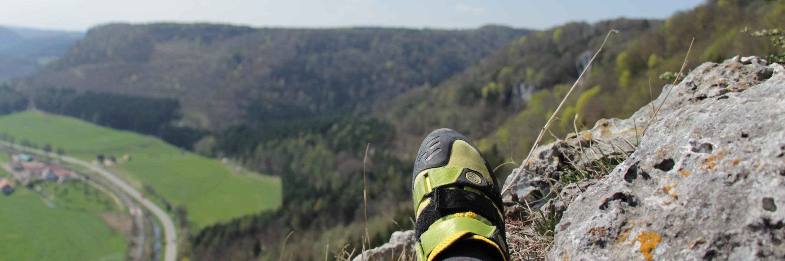 Baertierchen's profile banner image