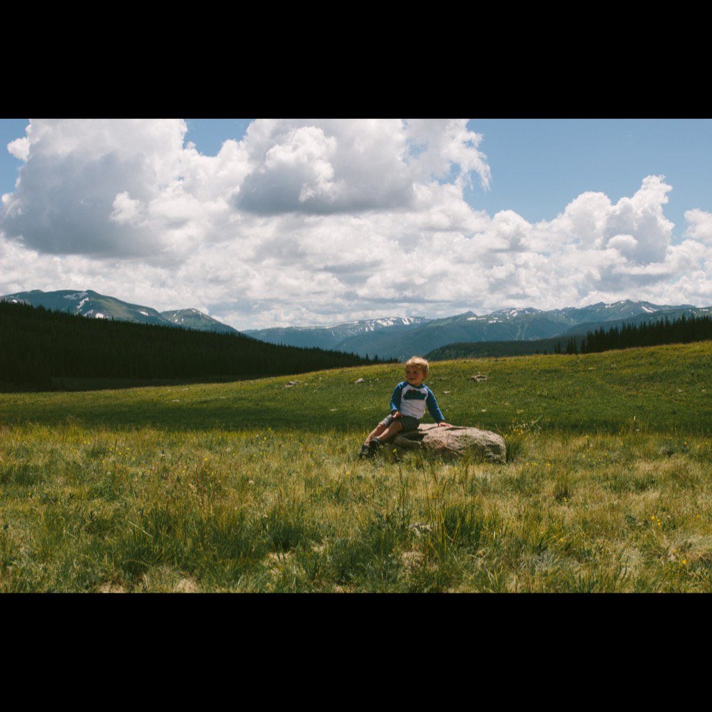 ShaylaCheal's profile banner image
