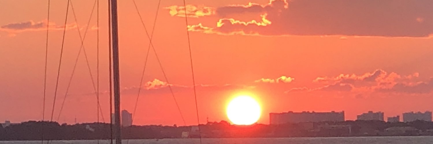 foxjerr's profile banner image