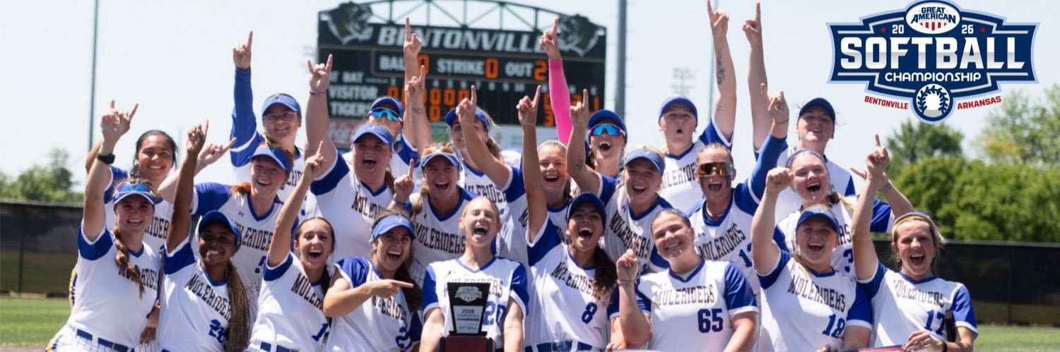 SAUSoftball's profile banner image