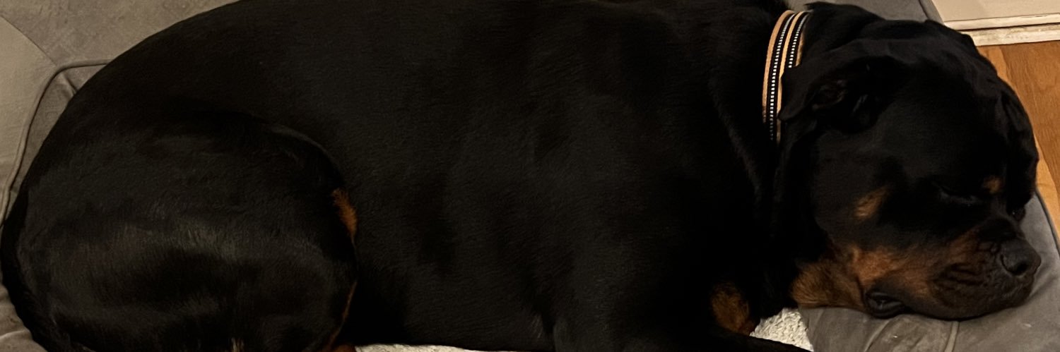 danahweese's profile banner image