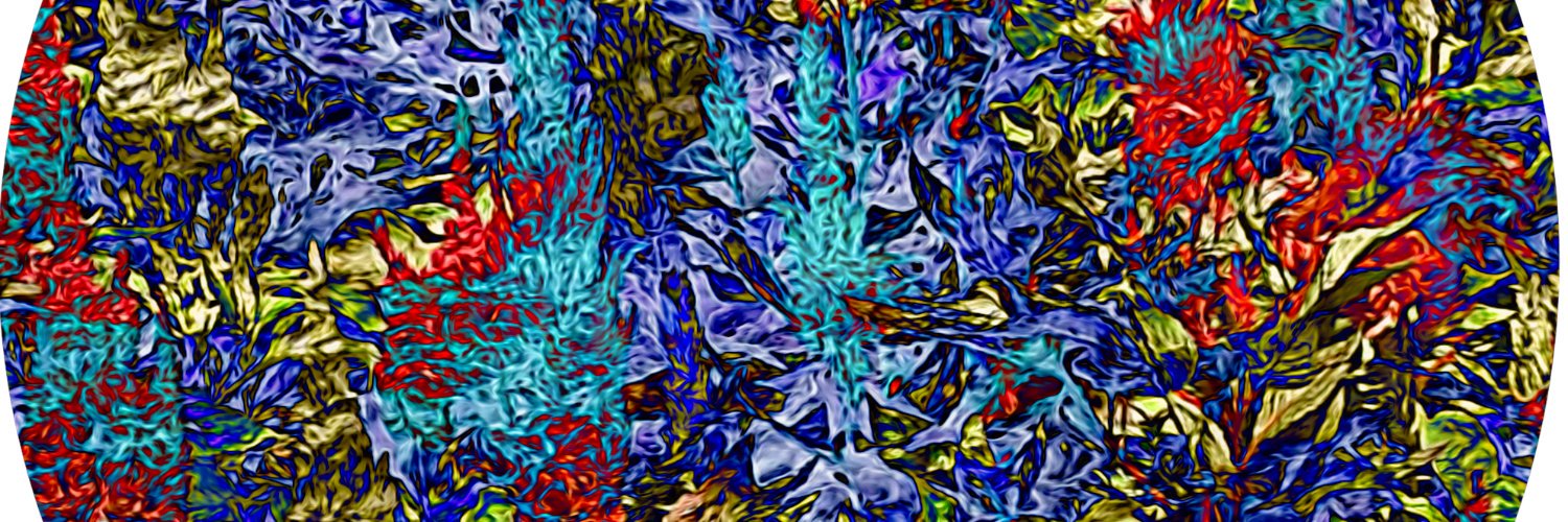 David_and_Mandy's profile banner image