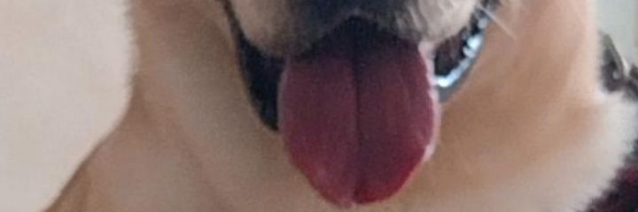 blgsp1803's profile banner image